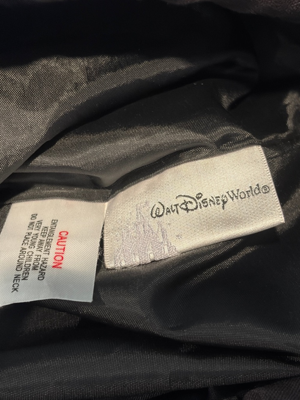 Disney Parks Backpack Bundle – 2009 & 2010 Walt Disney World Souvenir Bags - Picture 8 of 8